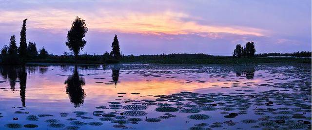 江西風(fēng)景獨好|百強(qiáng)縣旅游特色推薦,贛鄱首府首縣南昌縣歡迎你!