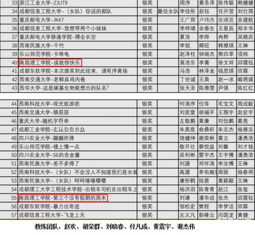 南昌理工學(xué)院在四川省計(jì)算機(jī)程序設(shè)計(jì)競(jìng)賽中榮獲銀獎(jiǎng)